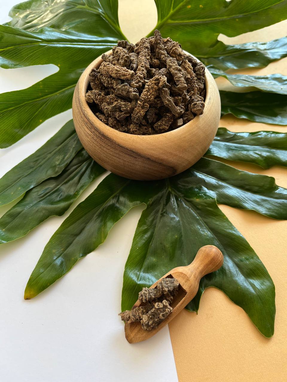 دارفلفل (فلفل بلند)