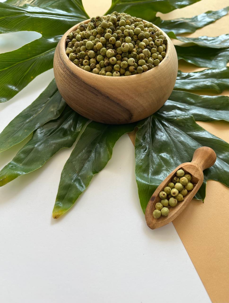 فلفل دان سبز