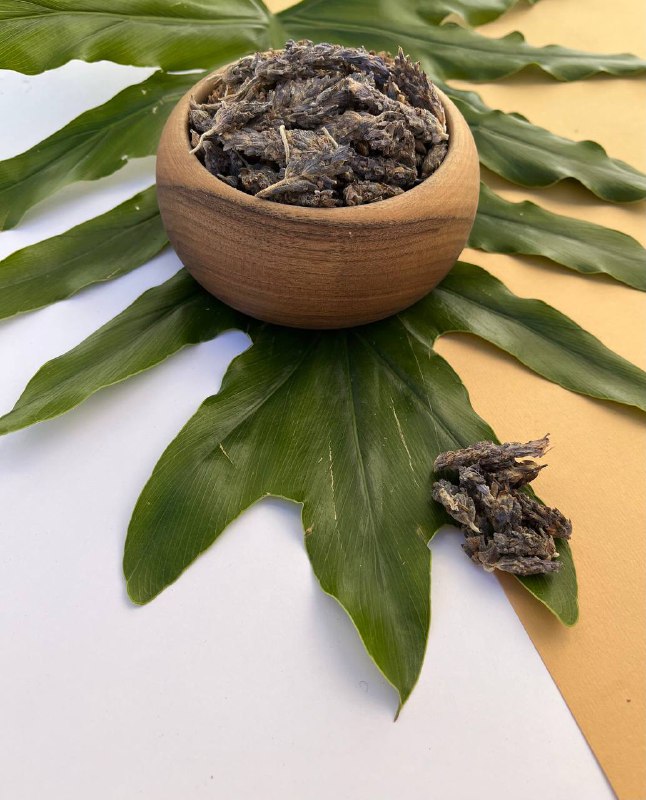 اسطوخودوس خارجی