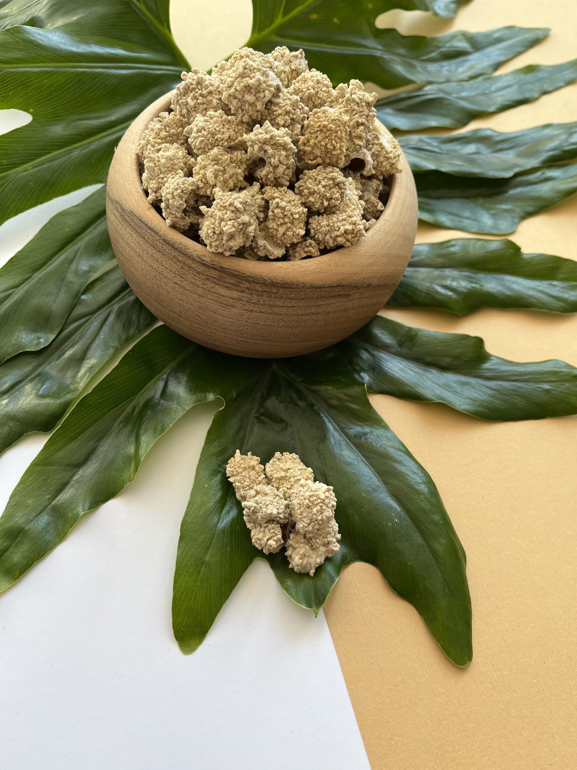 شکر تیغال-min