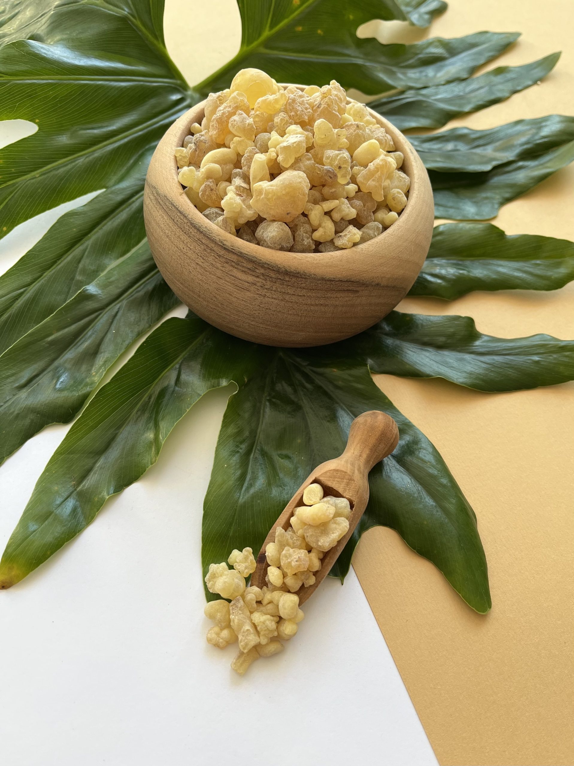 کندر خوراکی-min