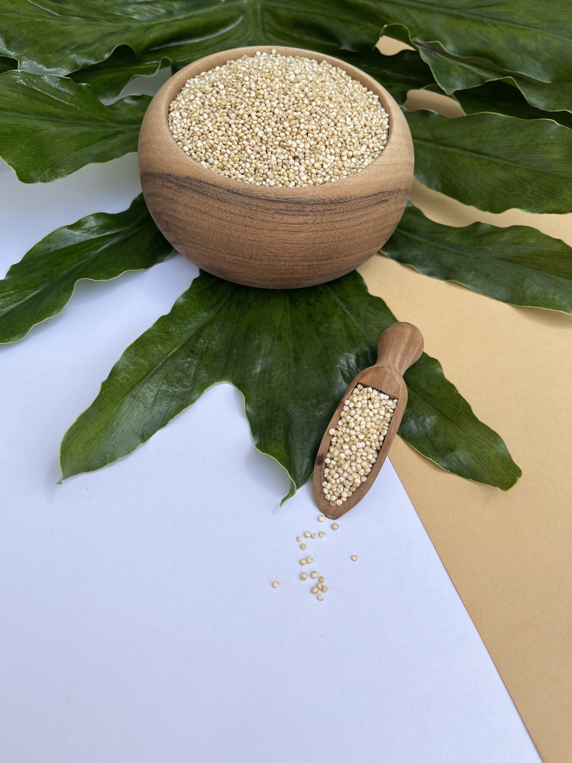 دانه کینوا سفید-min