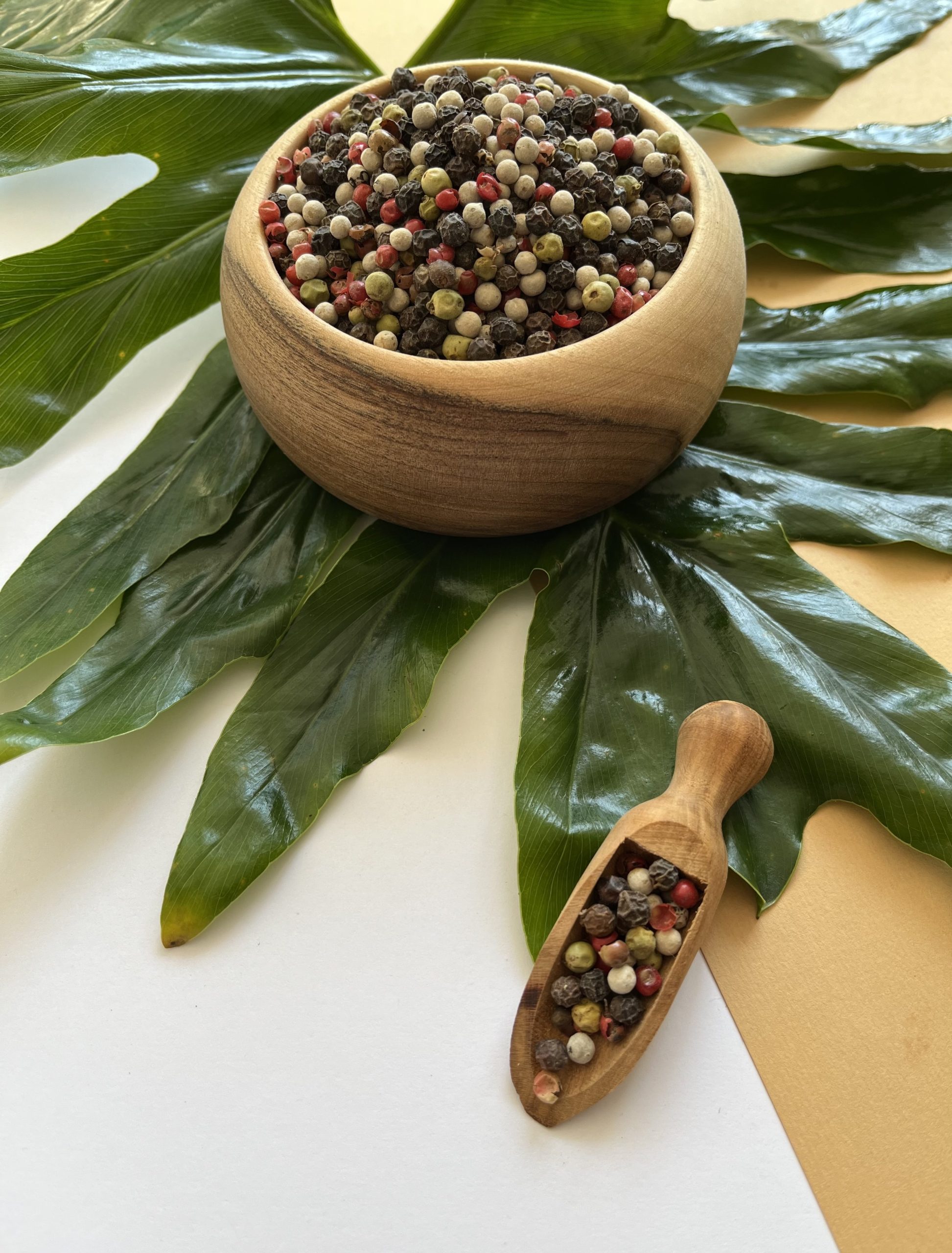 فلفل رنگی-min